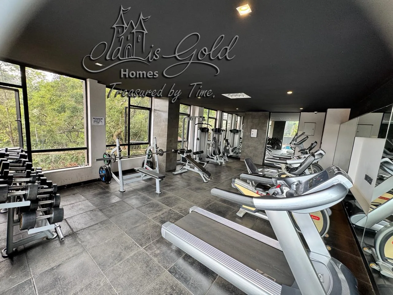 Gym Area